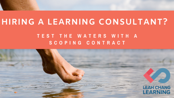 Test the waters with elearning consultant